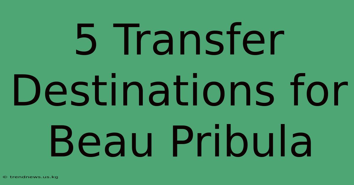 5 Transfer Destinations For Beau Pribula