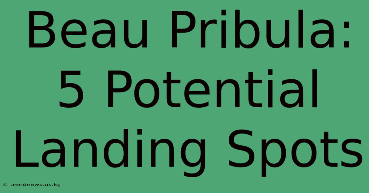 Beau Pribula: 5 Potential Landing Spots