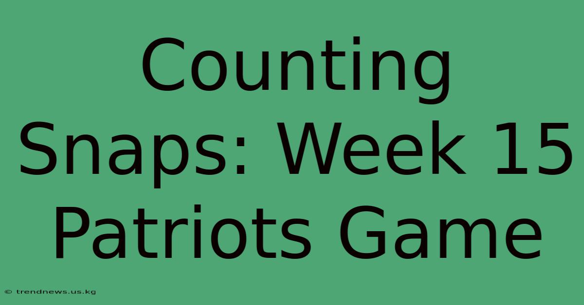 Counting Snaps: Week 15 Patriots Game