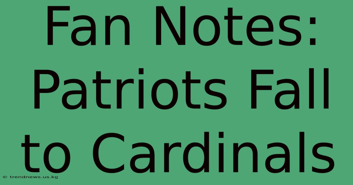 Fan Notes: Patriots Fall To Cardinals