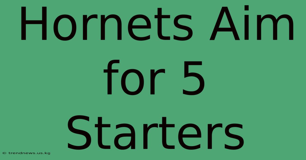 Hornets Aim For 5 Starters