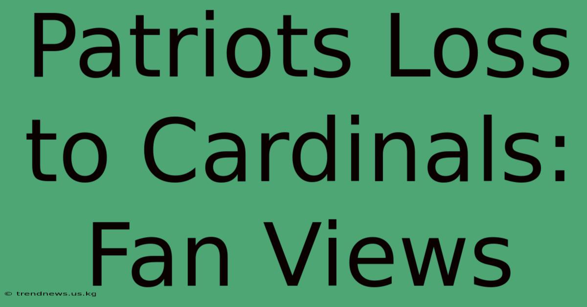 Patriots Loss To Cardinals: Fan Views